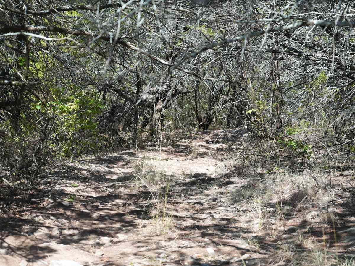B.Y.O.C. trail photo