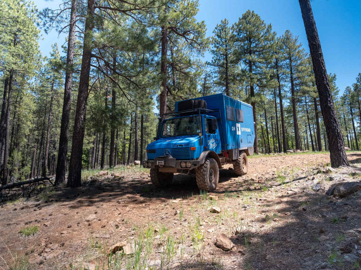 Woody Ridge - FS 535B photo 4