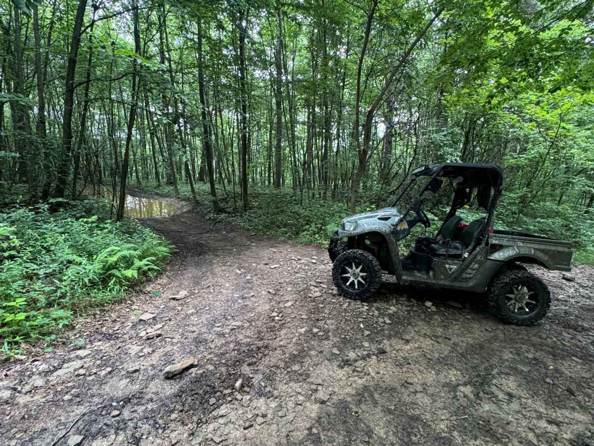 Trail 64 trail photo