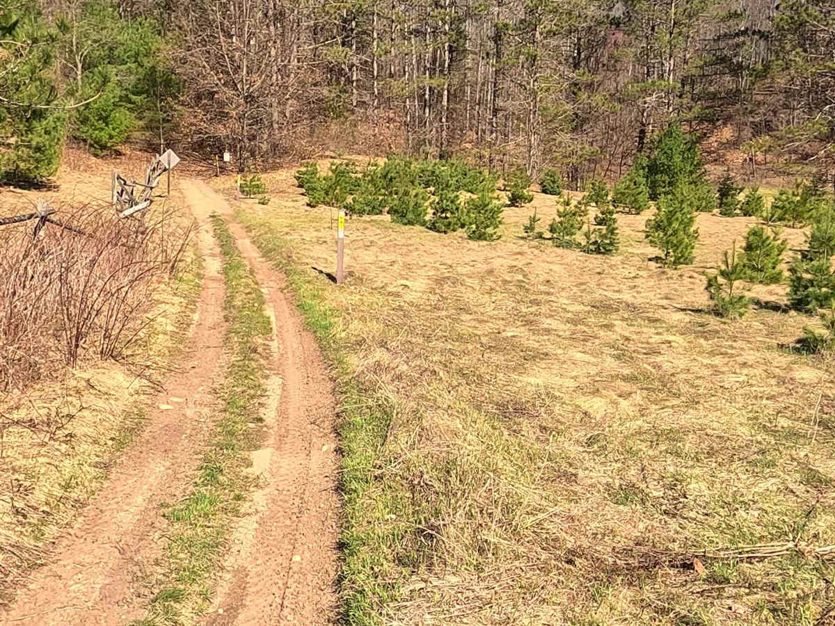 ORV H-57 : Mack- Old Baldy Trail photo 2