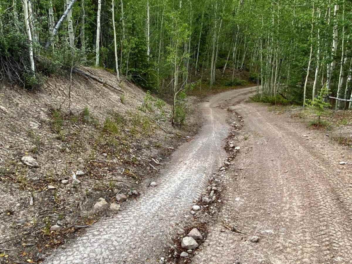 Middle Rat Creek Road - NF 504-1B trail photo