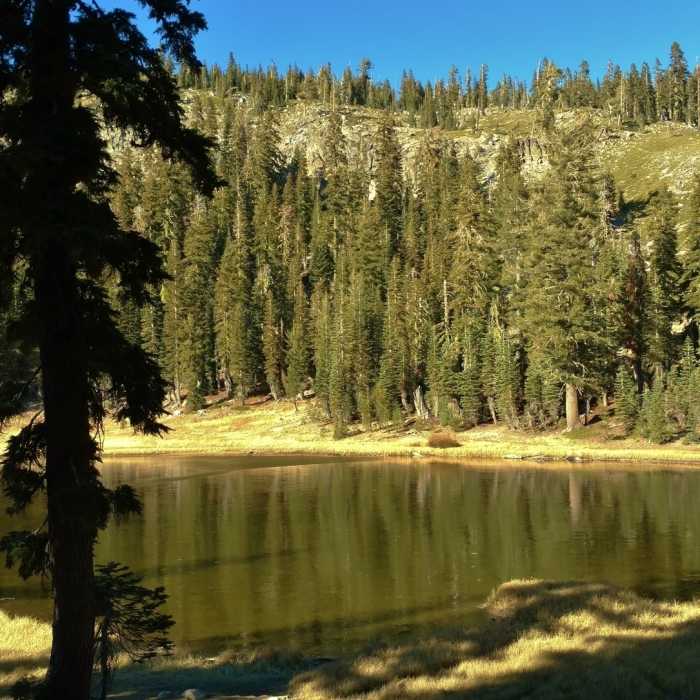 Near Cold Boiling Lake Trail