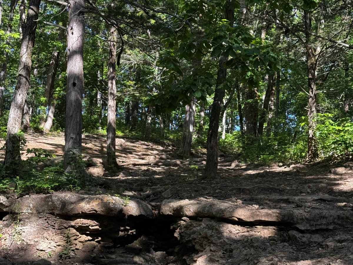 Bounty Hole Trail photo 3