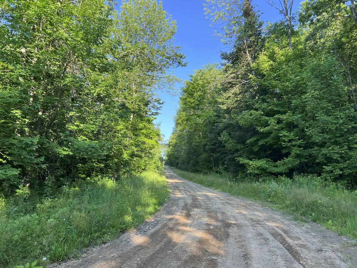 Bug Lake Road photo 6