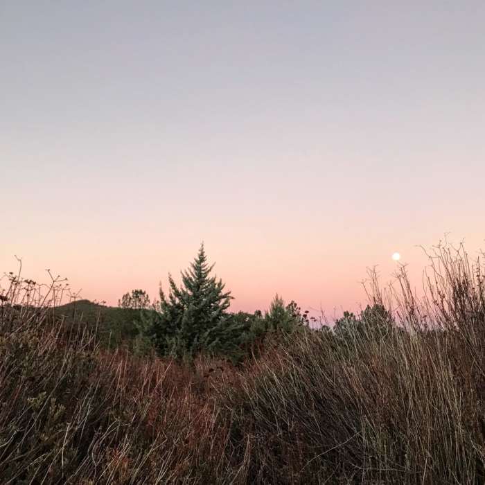 Near Cuyamaca State Park Loop Near Cuyamaca State Park Loop
