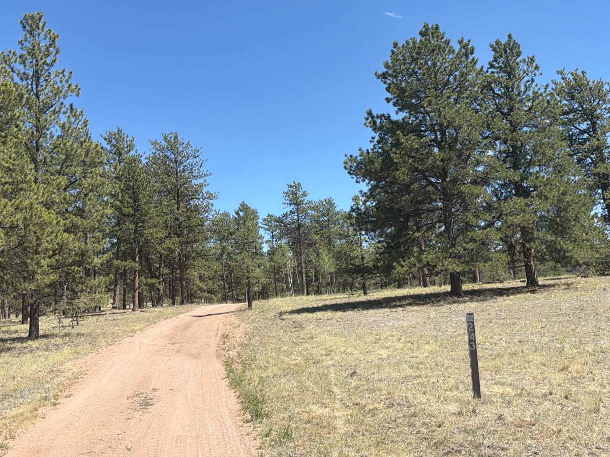 Sledge Hammer Road - FS 243 trail photo