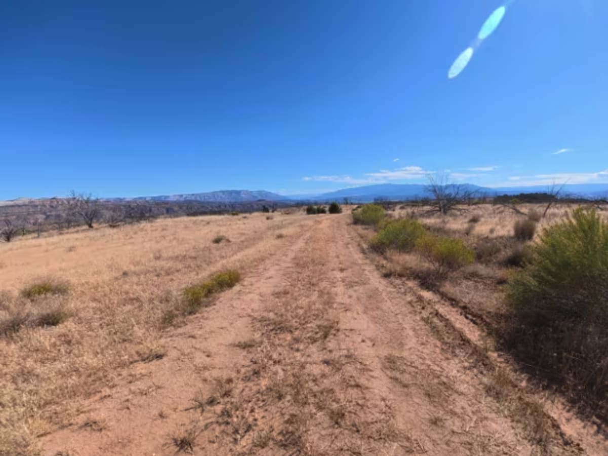 BLM 286 trail photo