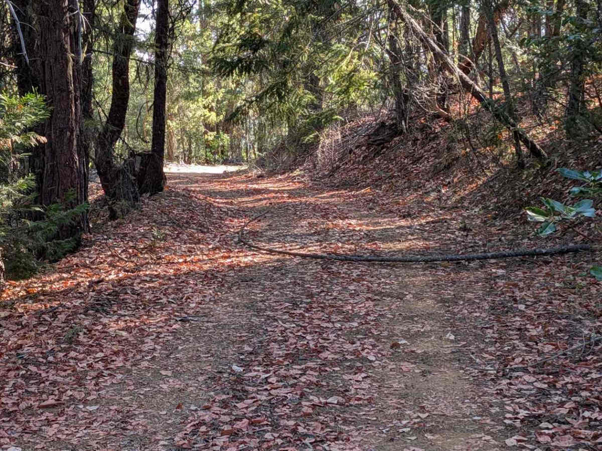 Telephone Ridge Road - FS 30N24 photo 5