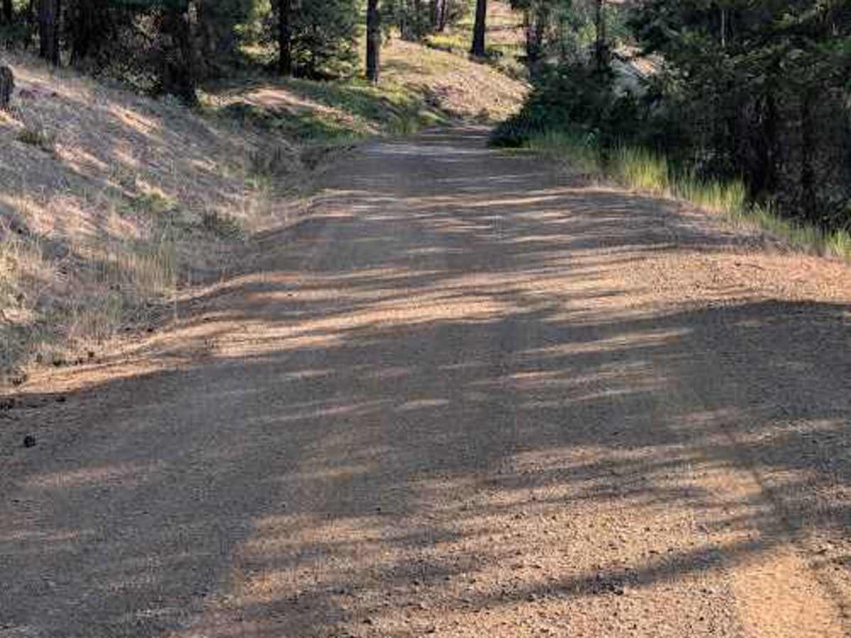 Forest Road 9718 photo 5