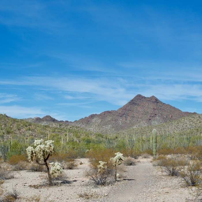 As the trail passes the Amphitheater, you get a great view of Twin Peaks and the desert landscape. Near Campground Perimeter Trail