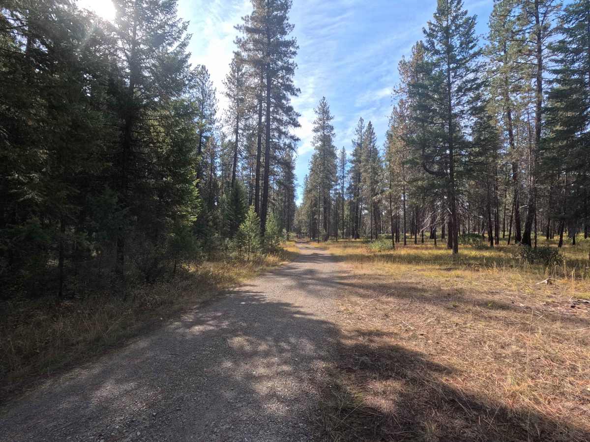 Winslow Camp Road photo 3