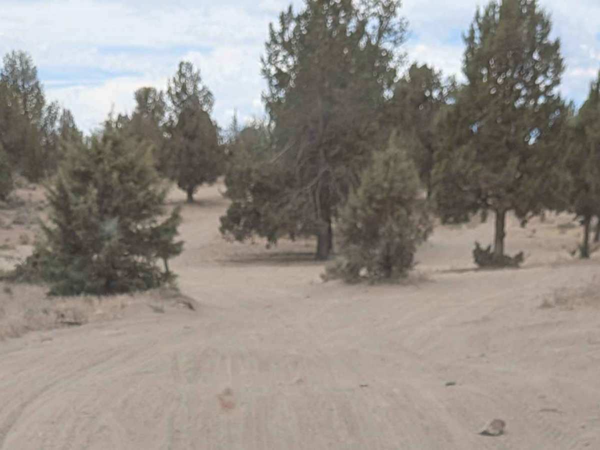 Cline Buttes OHV Trail 27 photo 4