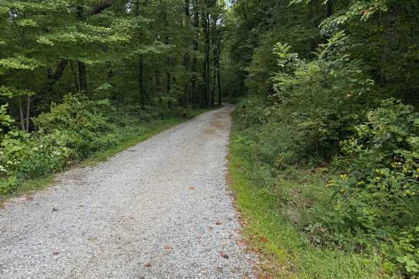 Dockey Lake Recreation Area Trail