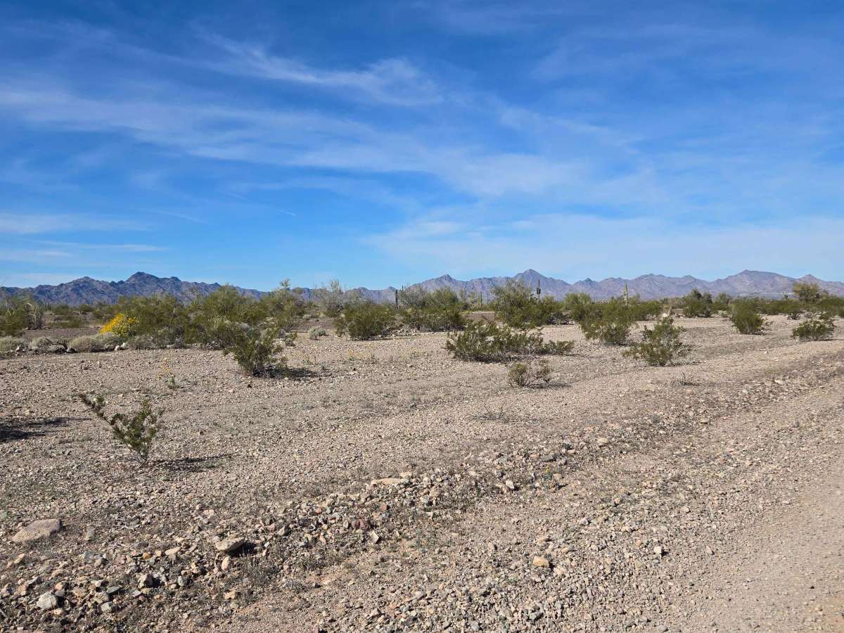 Wild Trail photo 4