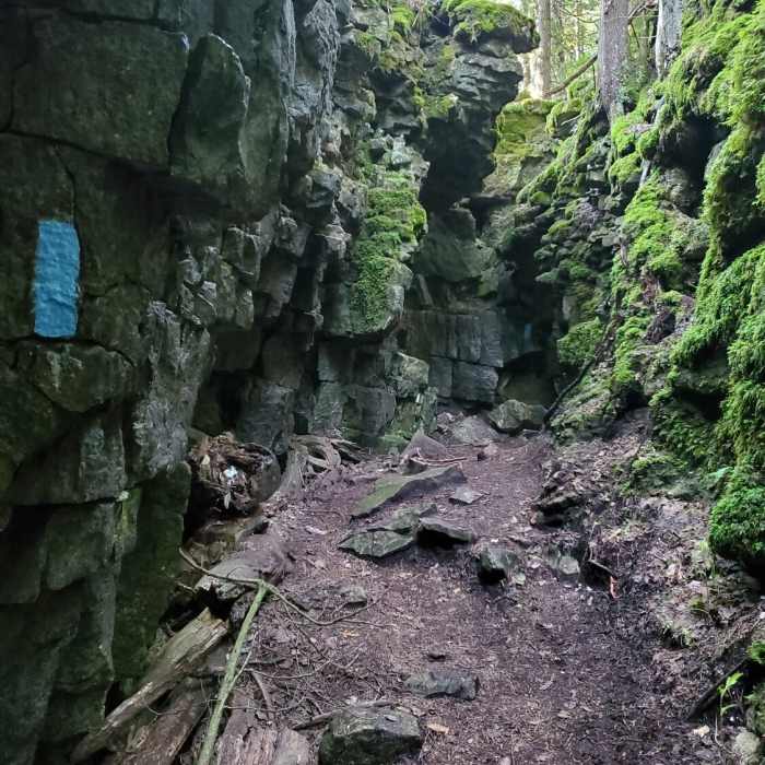 The trail leads through some interesting geologic features Near Nottawasaga Bluffs Loop