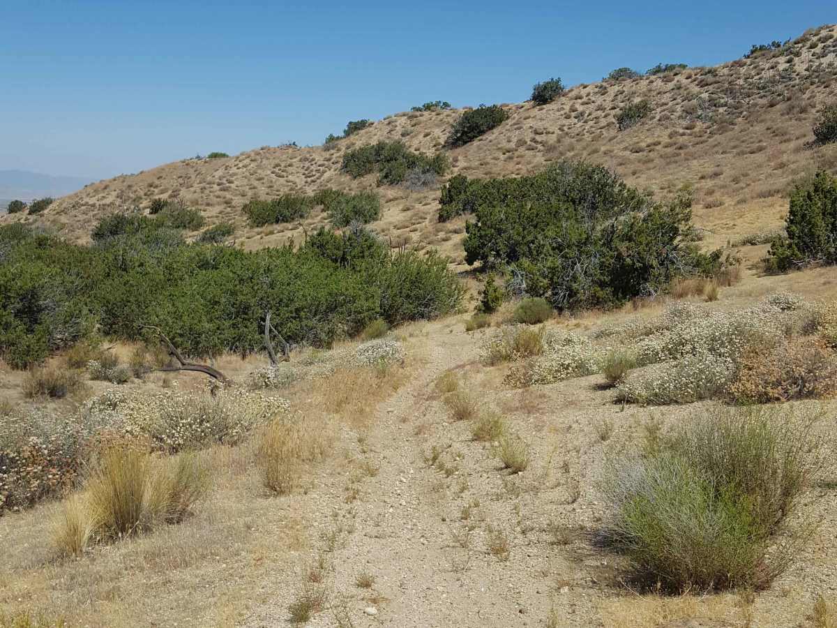 Trail 43 photo 6