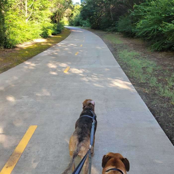 Near North Garland Trail East