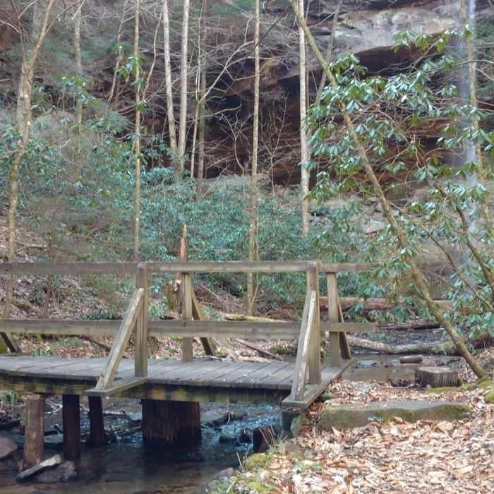 Near Sheltowee Trace NRT: Section 32