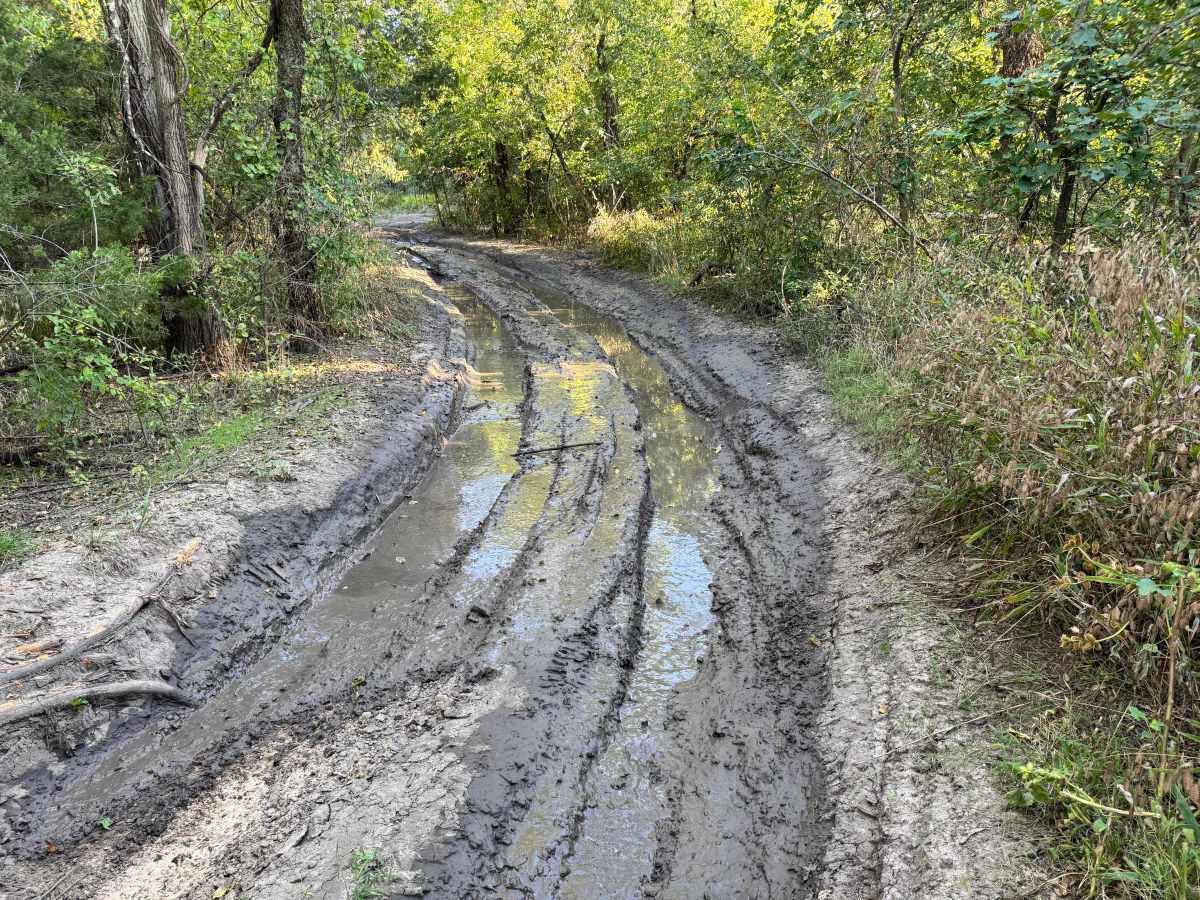 Buttercup Basin photo 4
