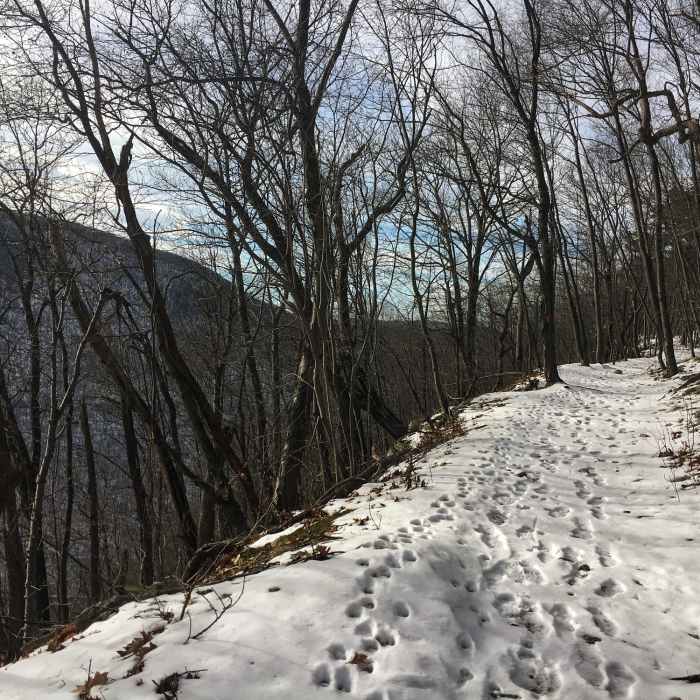 Near Thousand Steps to Ledge Quarry