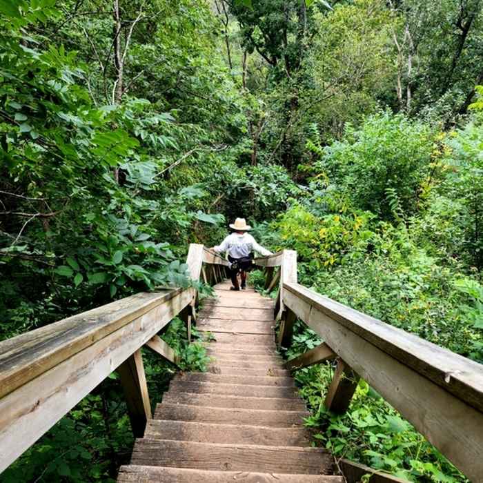 Near Inspiration Point Trail