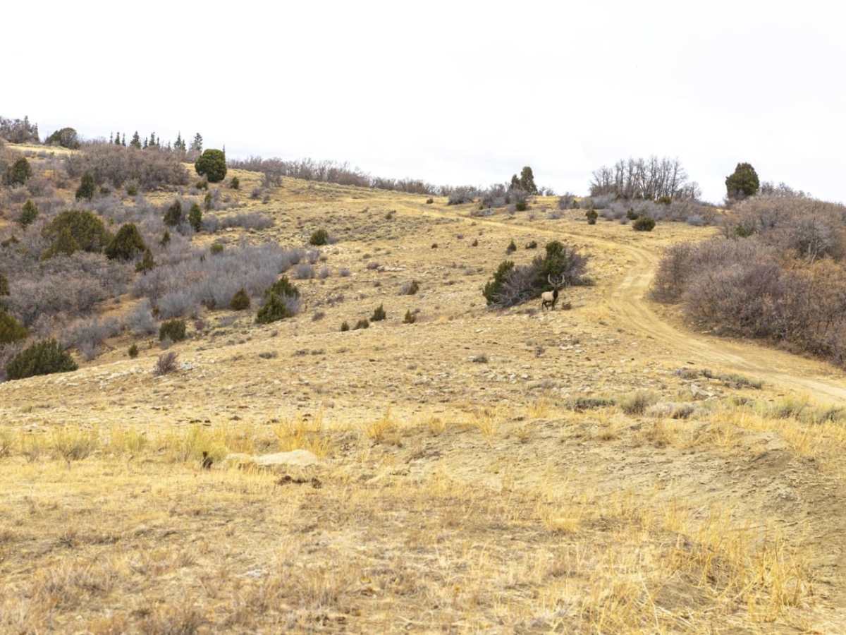 Catamount Road photo 2