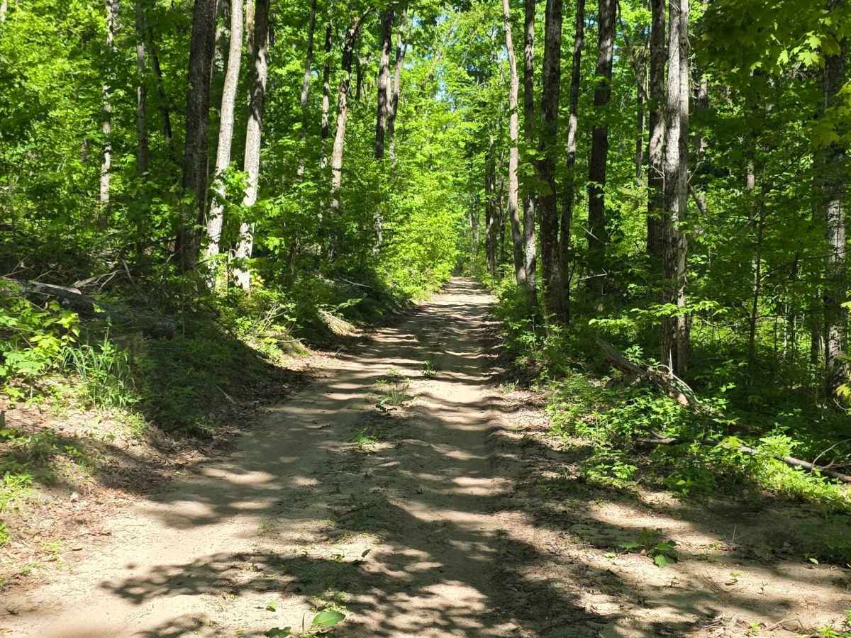 Ravine Road photo 2