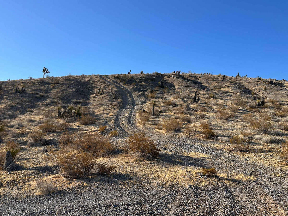 Desert Crown trail photo