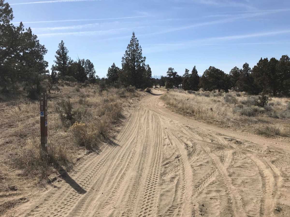 Millican Plateau Trail 84 photo 5