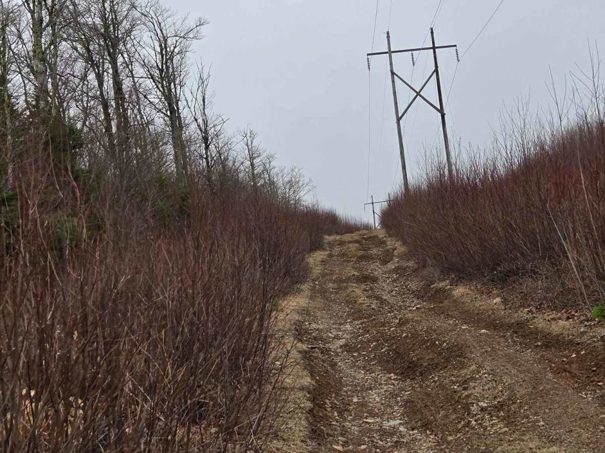 Windmill Powerline  photo 5
