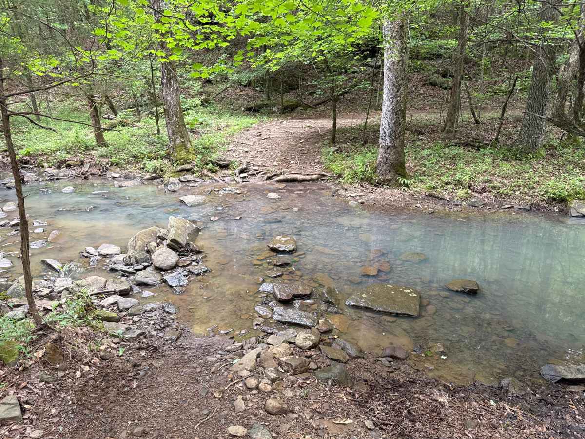 Pleasant Ridge photo 6