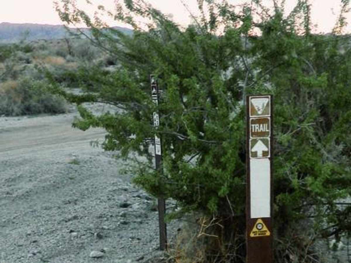Mojave Road, East photo 5