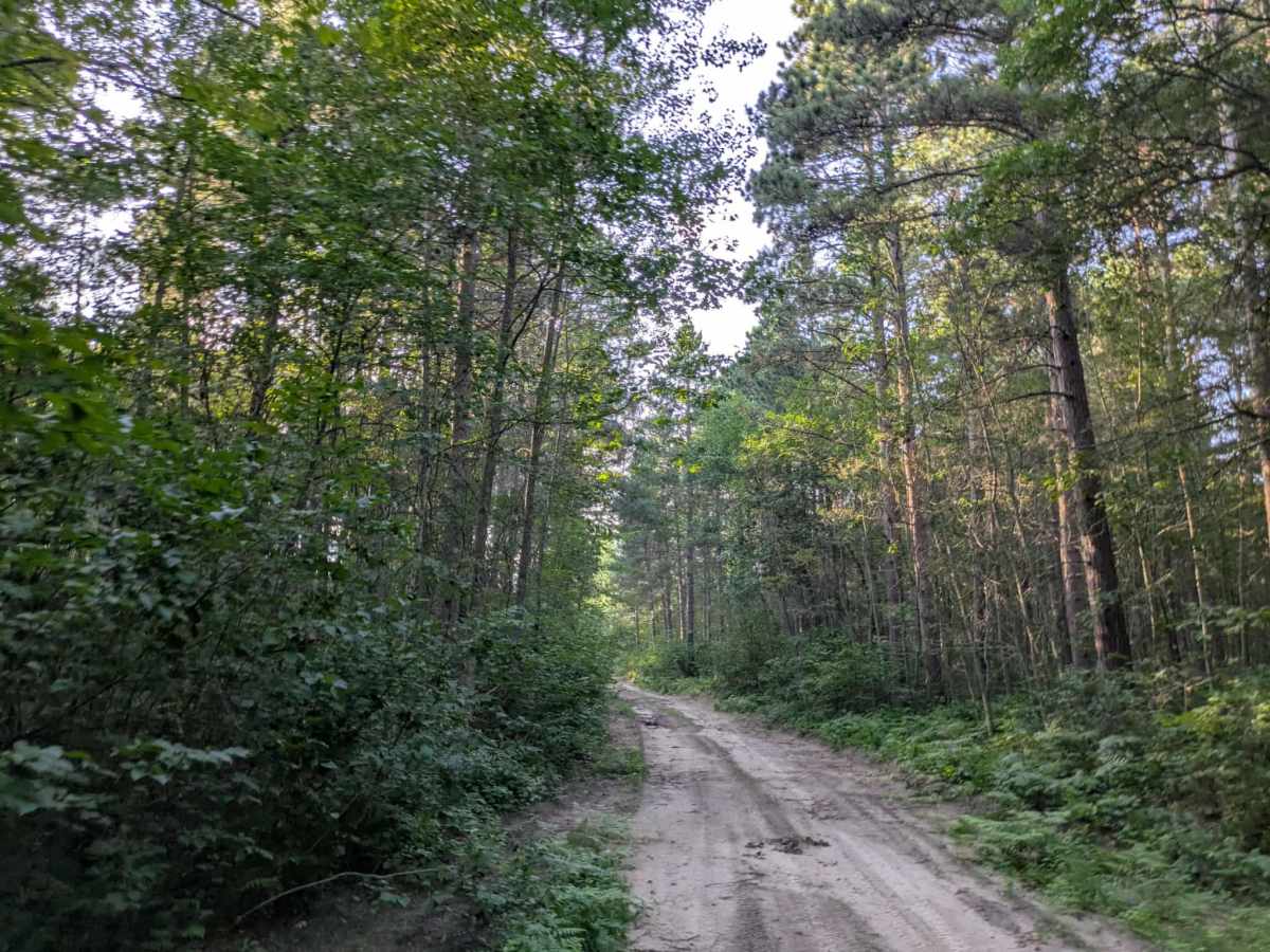 2948 trail photo