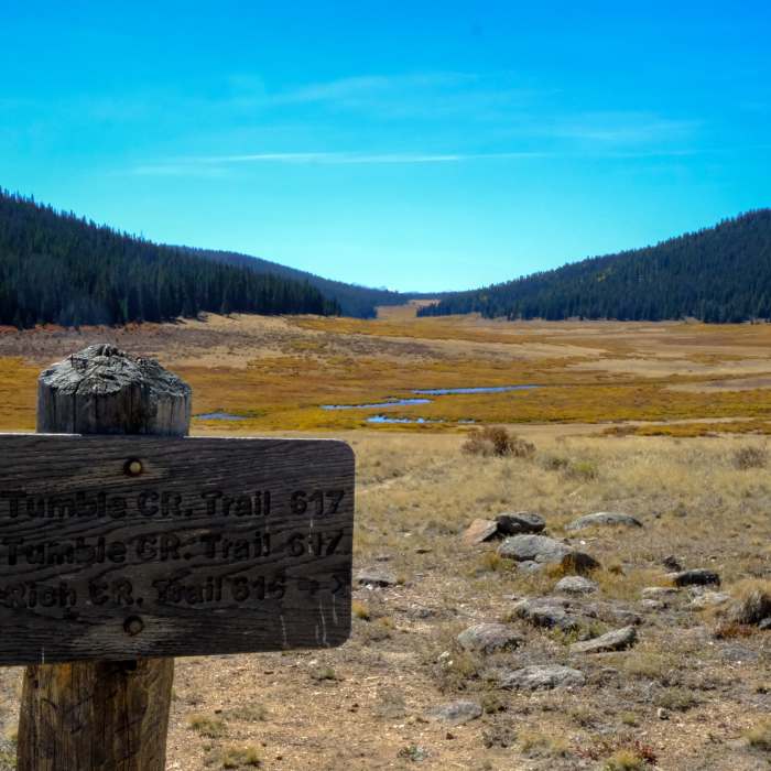Near Rich Creek Trail #616