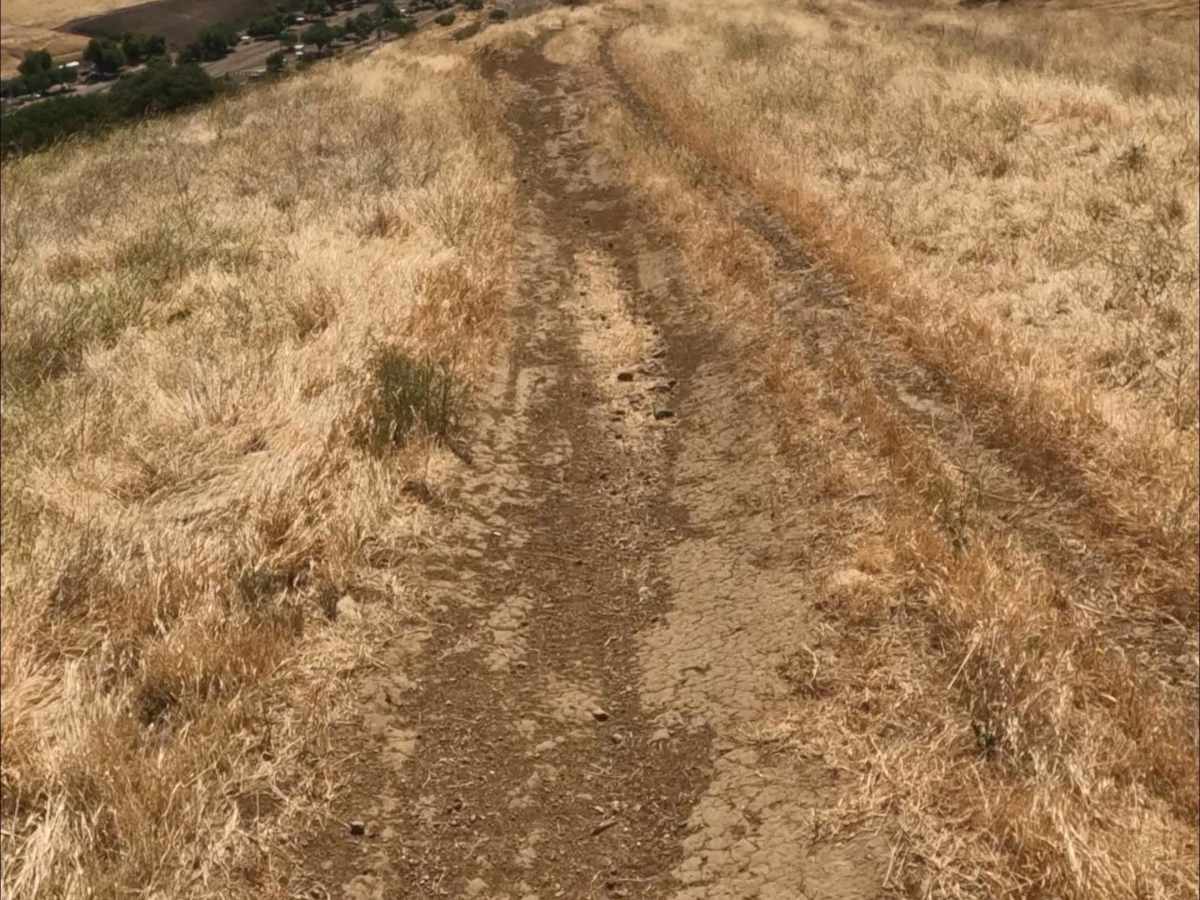 Carrol Climb photo 4