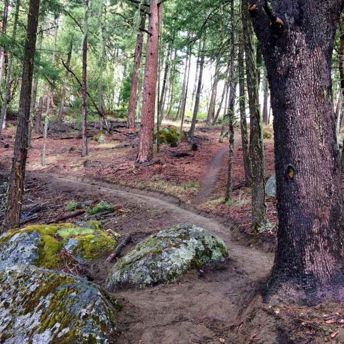 Near Upper Lithia Park: 2060 to Wonder Trail