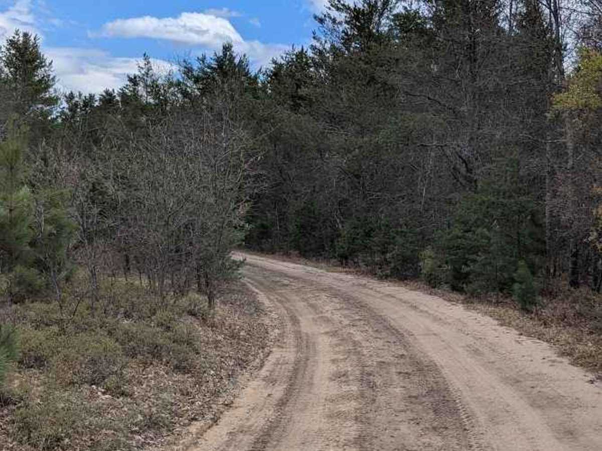 Owens Pond photo 2