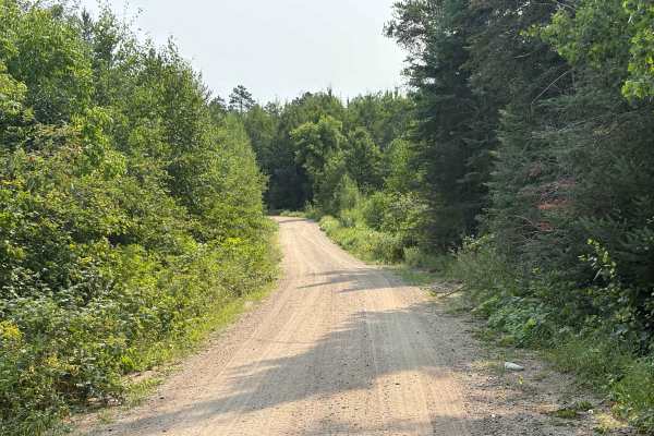 Indian Creek Forest Road
