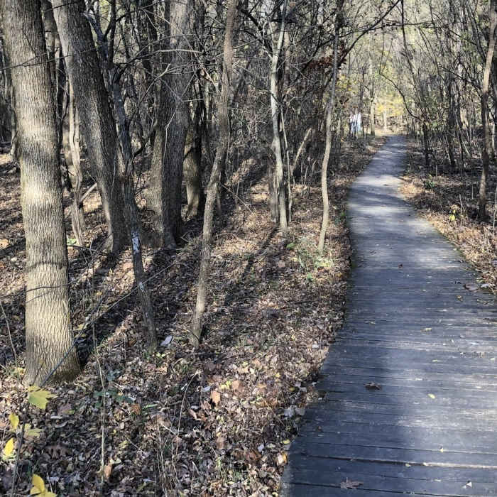 Boardwalk section of the Redbud Valley Main Trail. Near Redbud Valley Main Trail