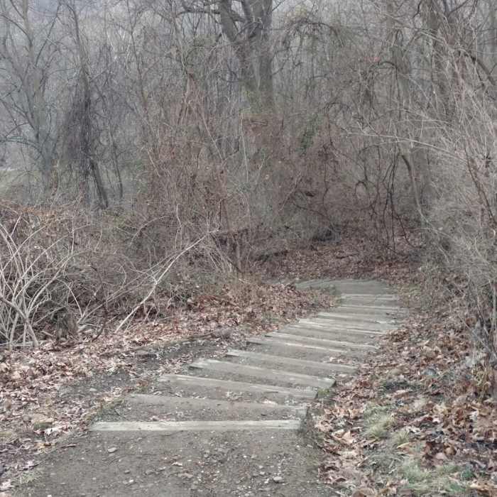 Near Oxbow Trail