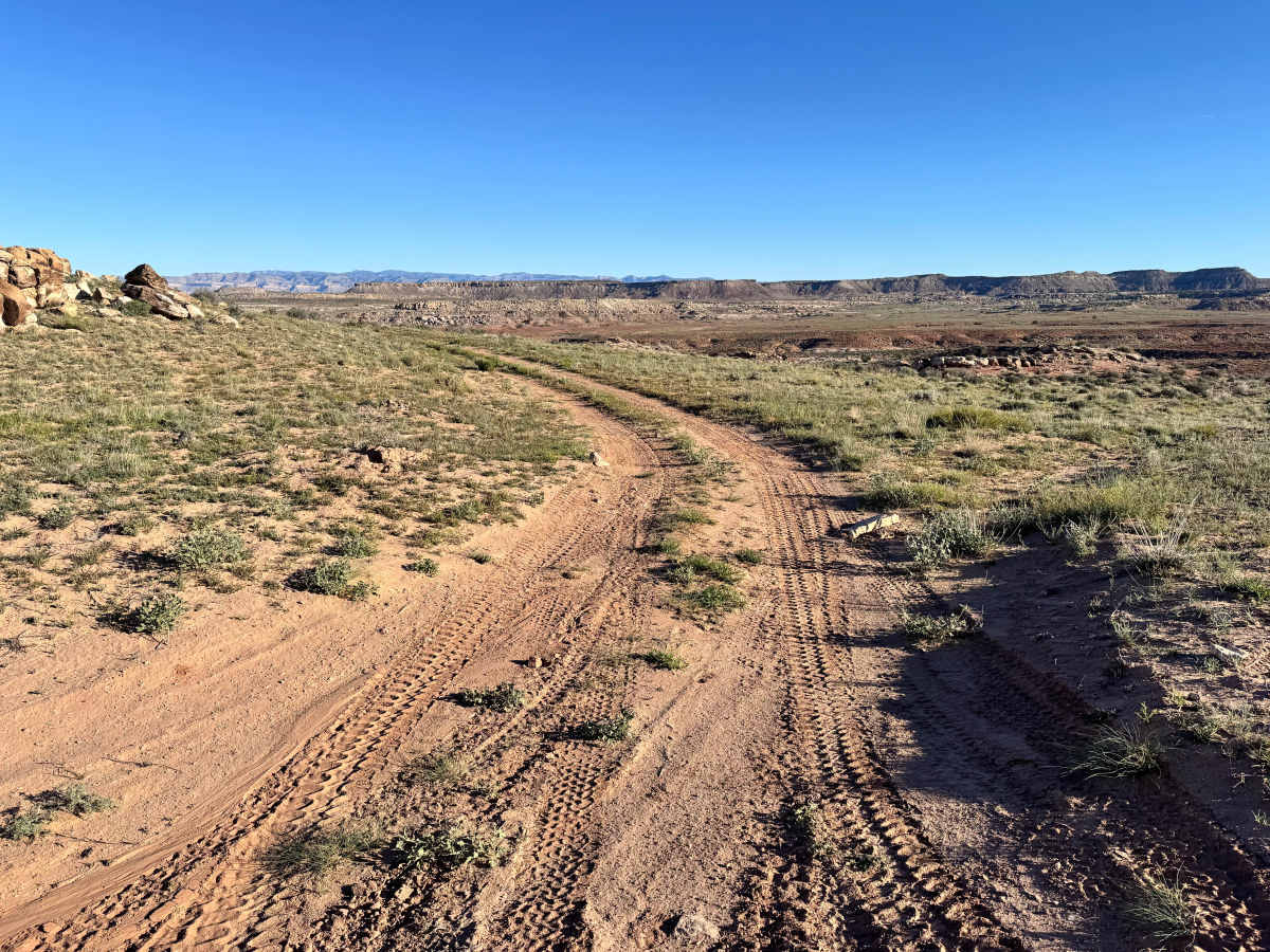 Memphis Mine trail photo