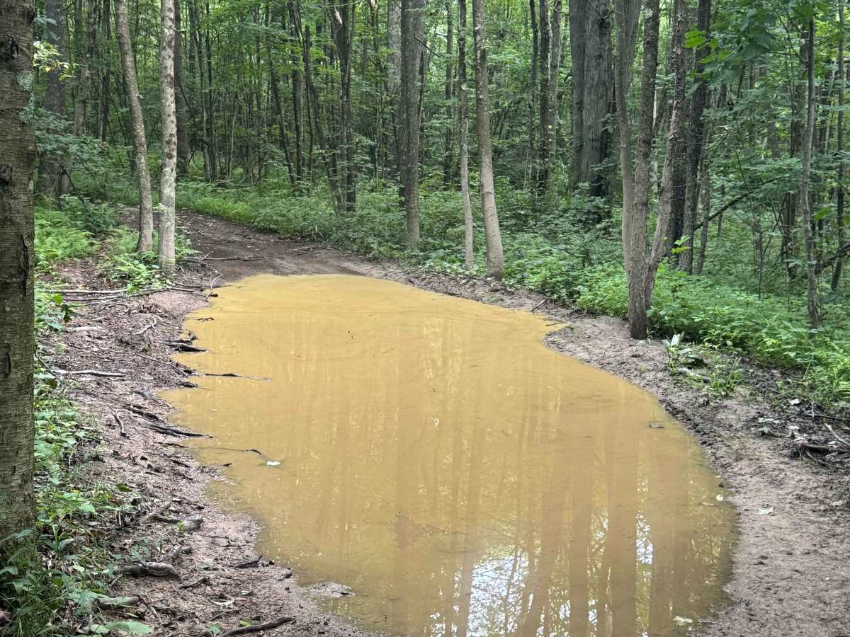 Trail 64 photo 6