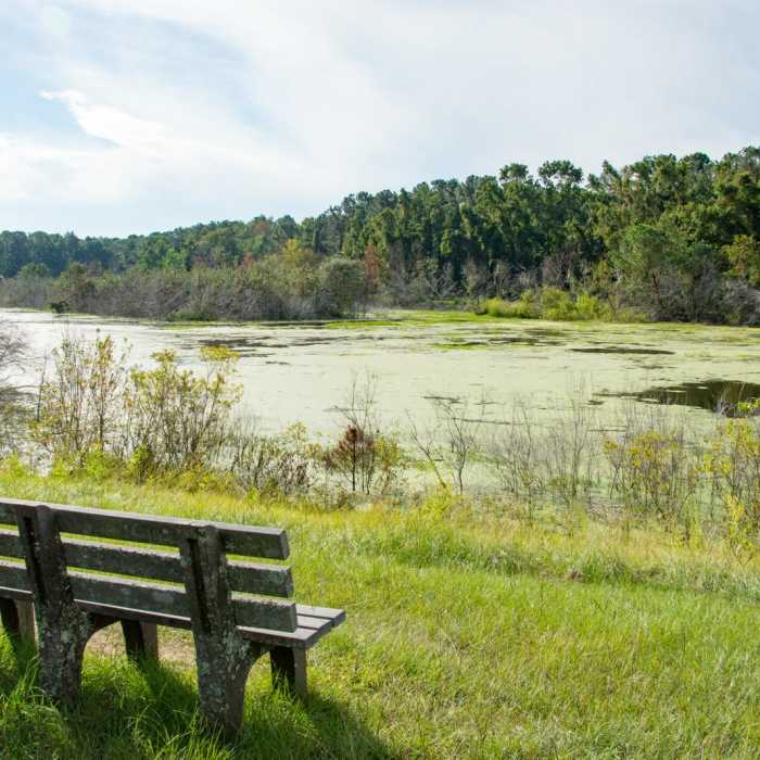 Near White Point Beach Hike