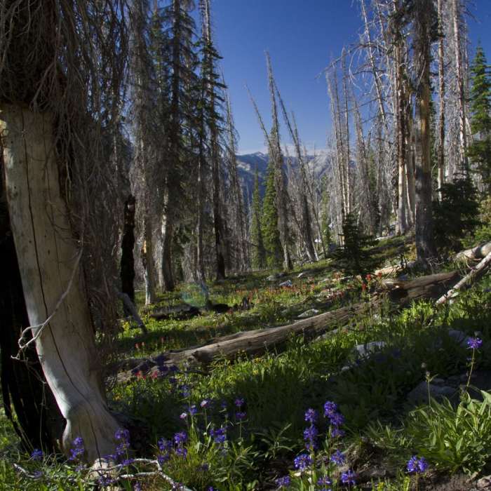 Near Middle Fork of the Boise River, Leggit Lake Near Middle Fork of the Boise River, Leggit Lake
