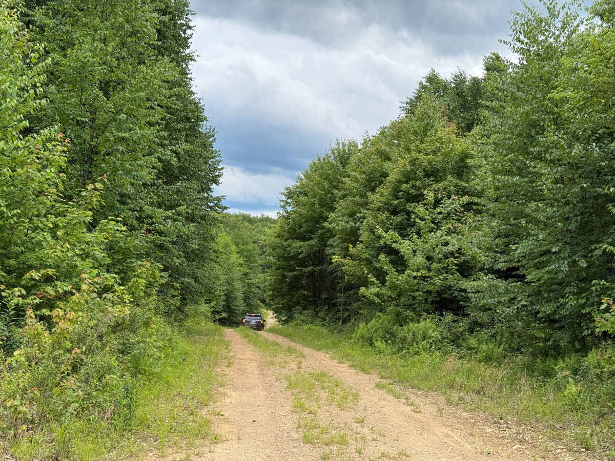 Gilmore Trail photo 6