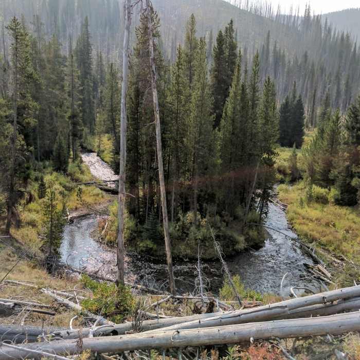 One of the many twists and turns of Specimen Creek. Near Specimen Creek Trail