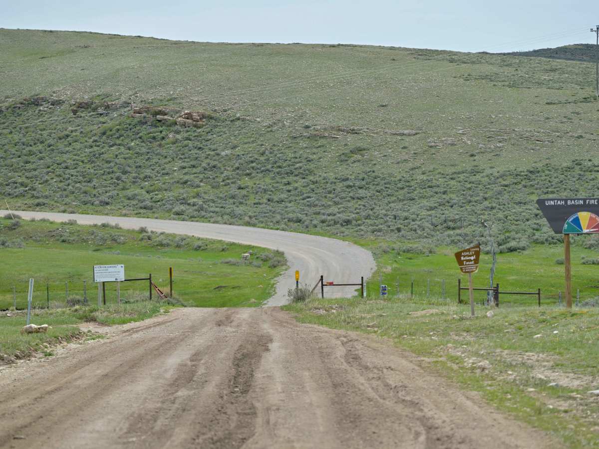 Diamond Mountain Road - FS 10048 photo 6
