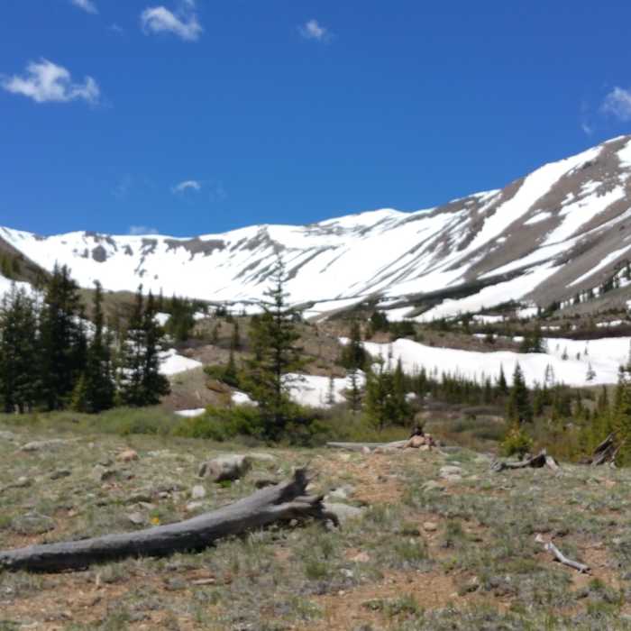 Near Three Elk Trail #1445