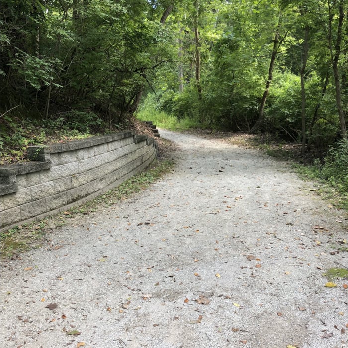 Near Riparian Trail