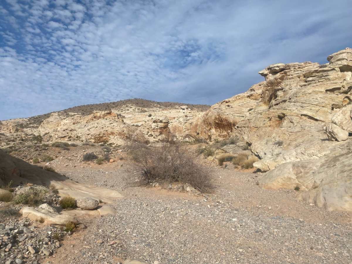 Gold Butte to 21 Goats photo 3